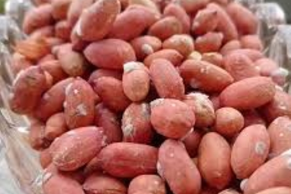 تصویر 2 از قیمت بادام زمینی فله + خرید باور نکردنی